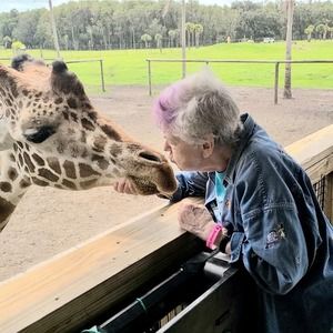 Meet your Posher, Ellen